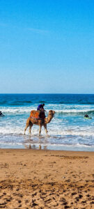ONA--Sejour-Bien_etre--Maroc--The-Yogi-Surfer--Janvier-2023--186 Ona, Sport Bien-être - Séjours sportifs et ressourçants - The Yogi Surfer - Tamraght, Maroc