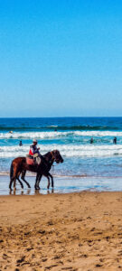 ONA--Sejour-Bien_etre--Maroc--The-Yogi-Surfer--Janvier-2023--189 Ona, Sport Bien-être - Séjours sportifs et ressourçants - The Yogi Surfer - Tamraght, Maroc