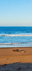 ONA--Sejour-Bien_etre--Maroc--The-Yogi-Surfer--Janvier-2023--196 Ona, Sport Bien-être - Séjours sportifs et ressourçants - The Yogi Surfer - Tamraght, Maroc