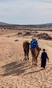 ONA--The-Yogi-Surfer--Tamraght-Maroc--Sejour-Sport-Bien-etre--Janvier-2024--077 ONA, Sport Bien-être - Séjours sportifs et ressourçants - The Yogi Surfer - Tamraght, Maroc