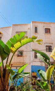 ONA--The-Yogi-Surfer--Tamraght-Maroc--Sejour-Sport-Bien-etre--Janvier-2024--169 ONA, Sport Bien-être - Séjours sportifs et ressourçants - The Yogi Surfer - Tamraght, Maroc