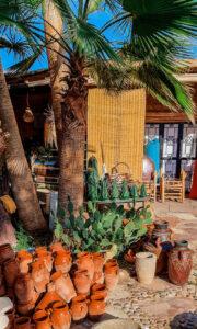 ONA--The-Yogi-Surfer--Tamraght-Maroc--Sejour-Sport-Bien-etre--Janvier-2024--170 ONA, Sport Bien-être - Séjours sportifs et ressourçants - The Yogi Surfer - Tamraght, Maroc